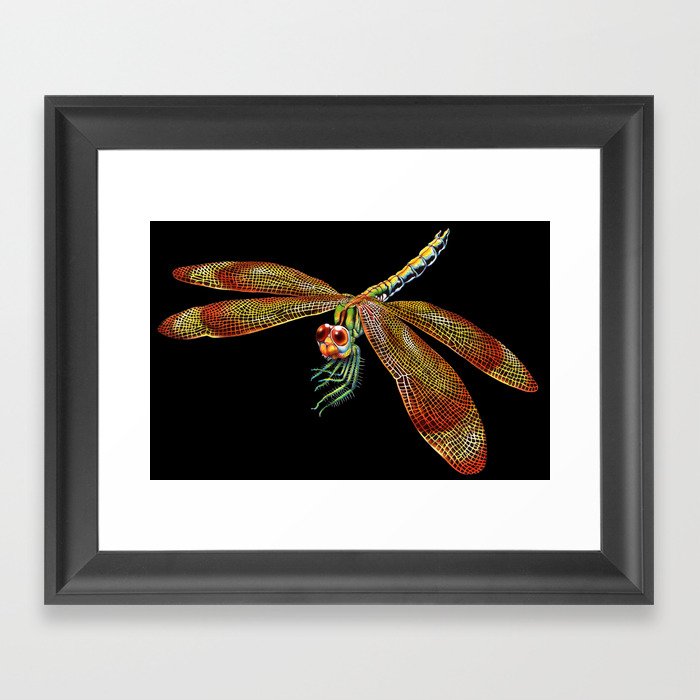Dragonfly Framed Art Print By Timjeffsart Society6 Dragonfly Framed Art Print