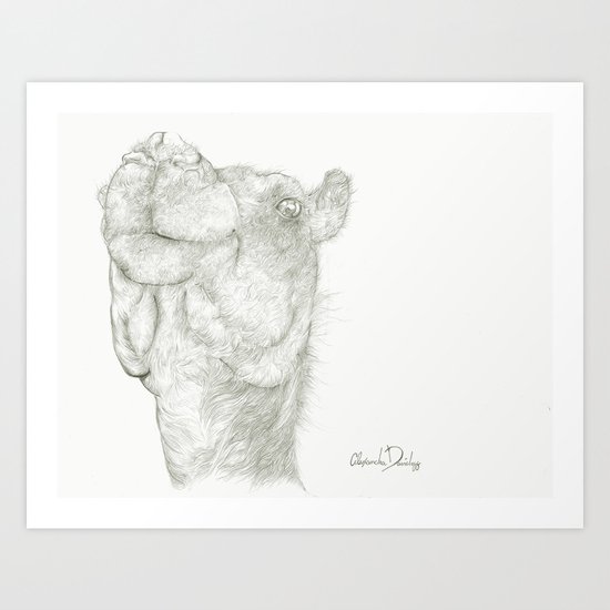 Aziz the Camel Art Print