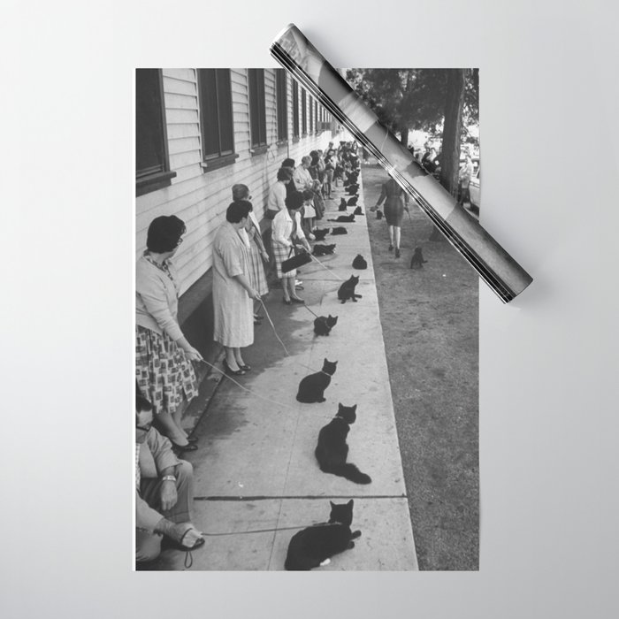 Black Cats Auditioning in Hollywood black and white photograph Wrapping Paper