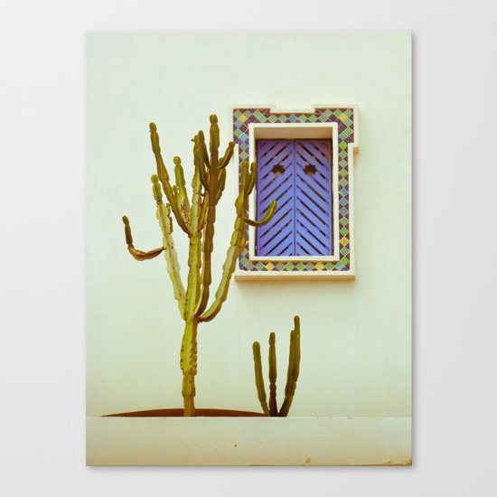 Cactus Canvas Print