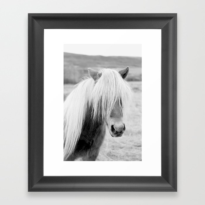 Icelandic Horse in Black and White Framed Art Print