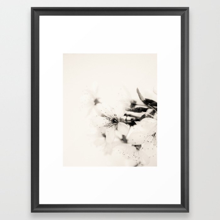Monochrome Blossoms Close-up Framed Art Print