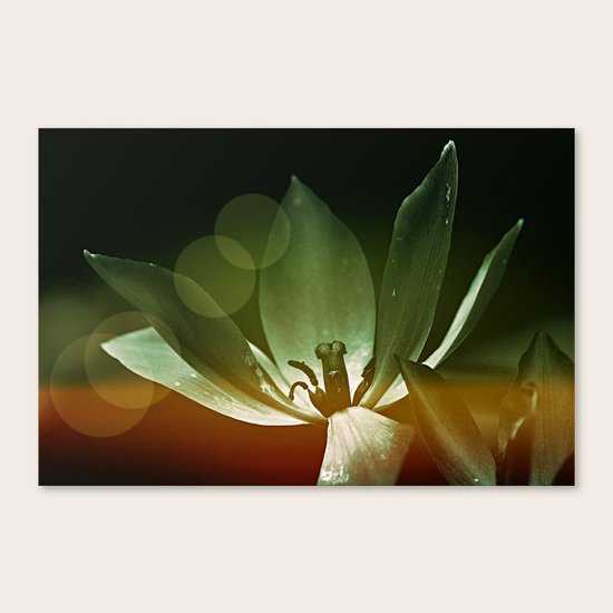 #80 Canvas Print