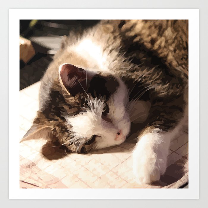 Sleeping Cat Illustration Art Print