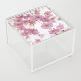 Cherry Blossom Baby Acrylic Box