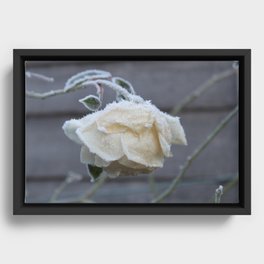 Frosted Rose Ice Flower W Framed Canvas