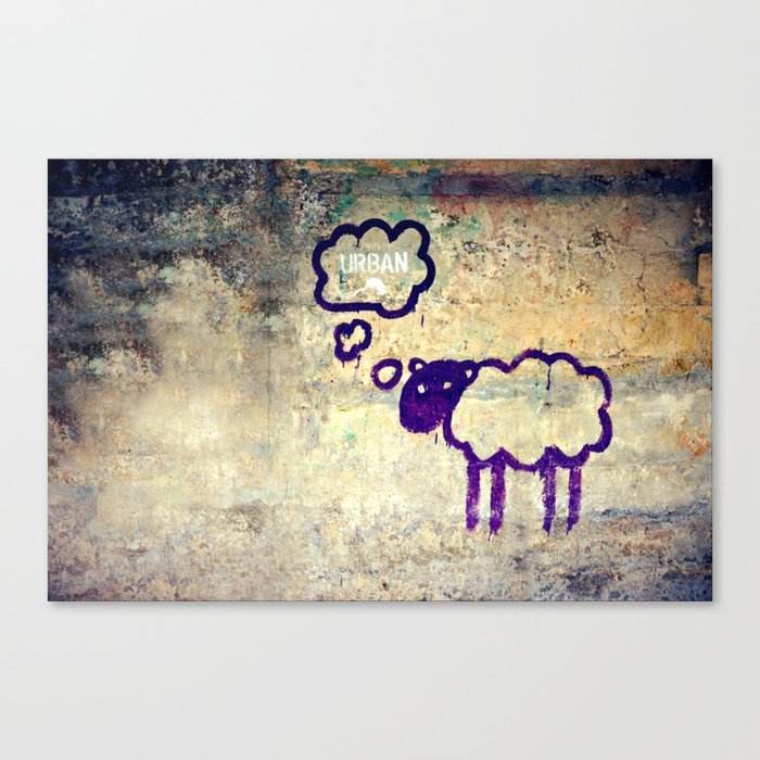 Urban Sheep Canvas Print