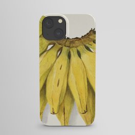 Bananas (Musa) (1907) by Amada Almira Newton. iPhone Case