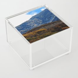 Crested Butte Aspens in Fall Acrylic Box