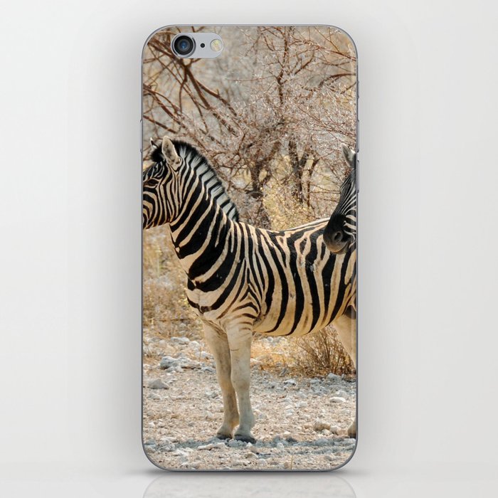 South Africa Photography - Two Zebras Standing On A Dirt Road iPhone Skin