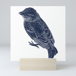 House Sparrow Mini Art Print