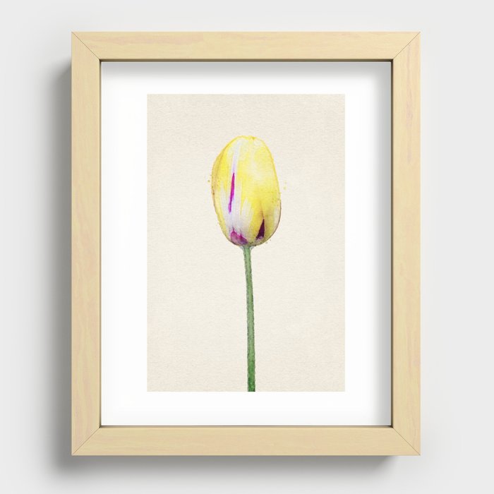 Yellow Tulip Recessed Framed Print