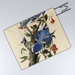 Blue Jay (Cyanocitta cristata) Picnic Blanket