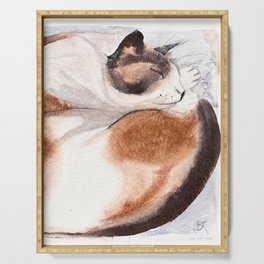 Curled Up Pure Siamese Cat Serving Tray