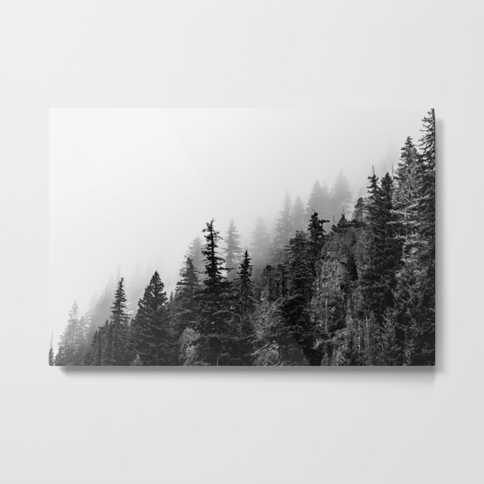 Foggy Trees Metal Print