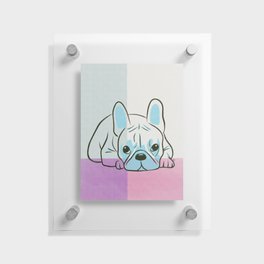 Frenchie riso Floating Acrylic Print