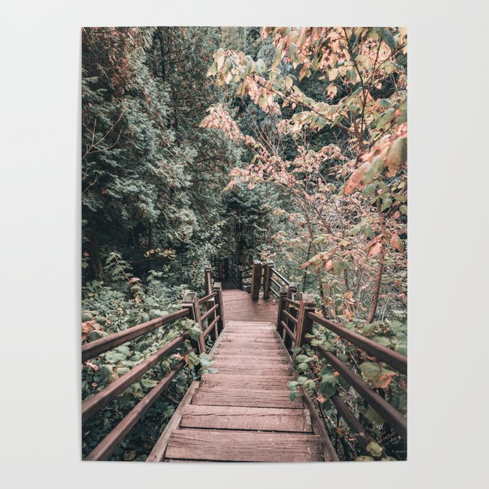 North Shore Minnesota | Forest Stairs | MN Nature Photography  Poster