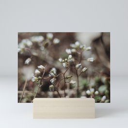 floral composition no. 3 Mini Art Print