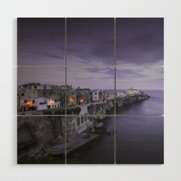 Blue hour over Vieste town. Apulia, Italy Wood Wall Art
