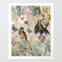 Nostalgic Birds In Vintage Rainforest Jungle Art Print