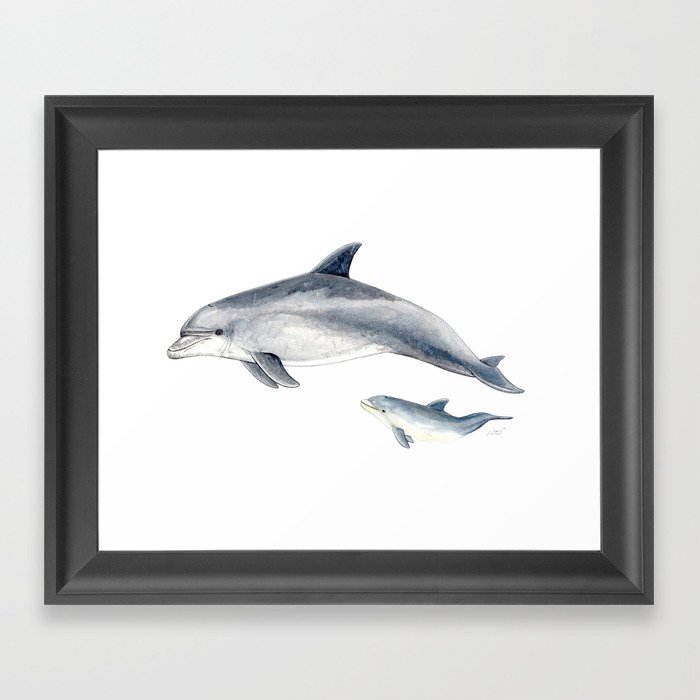 Bottlenose dolphin Framed Art Print