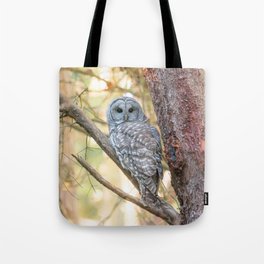 owl in the forest Tote Bag