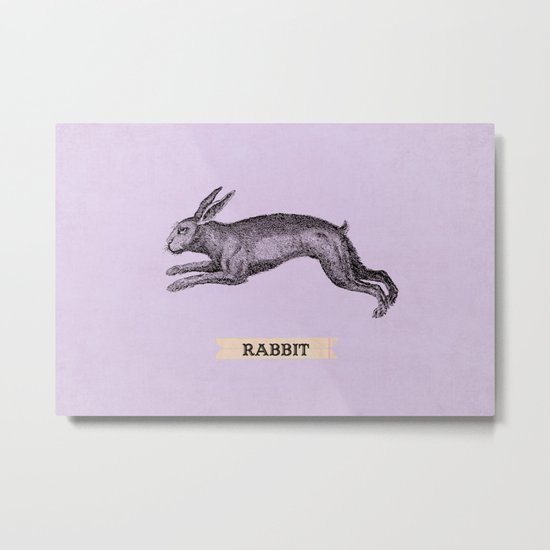 rabbit Metal Print