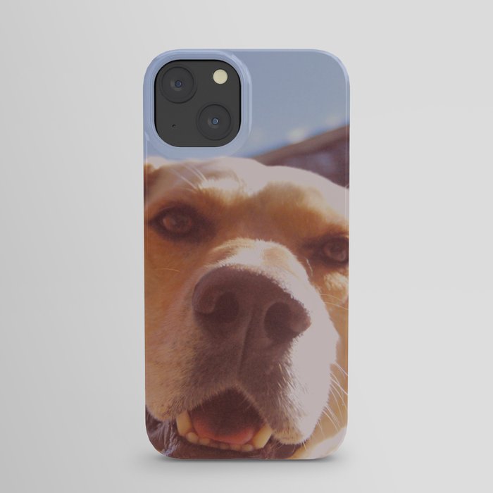 Dog Days iPhone Case