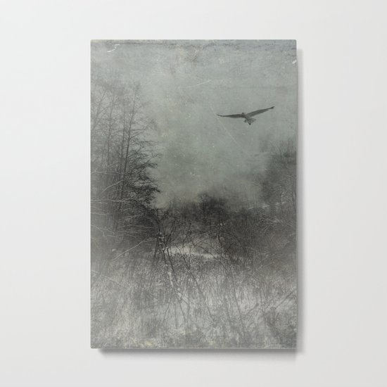 freedom Metal Print