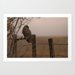 GreatHorned Owl on tree limb Art Print | Outdoors, Color, Gho, Photo, Greathornedowl, Digital, Nopeople, Nature 