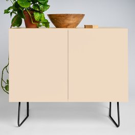 Creamy Neutral Beige Brown Solid Color Pairs PPG Oak Buff PPG1083-3 - One Single Shade Hue Colour Credenza
