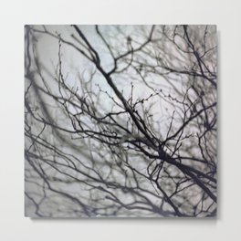 simultaneous Metal Print | Purple, Mediumformat, Tlr, Expired, Branches, Red, Photo, Blue, Twinlens, Nature 