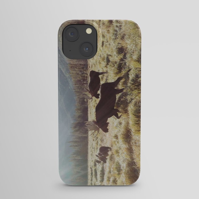 Three Meadow Moose iPhone Case