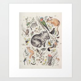 Australian Native Animals and Birds Art Print