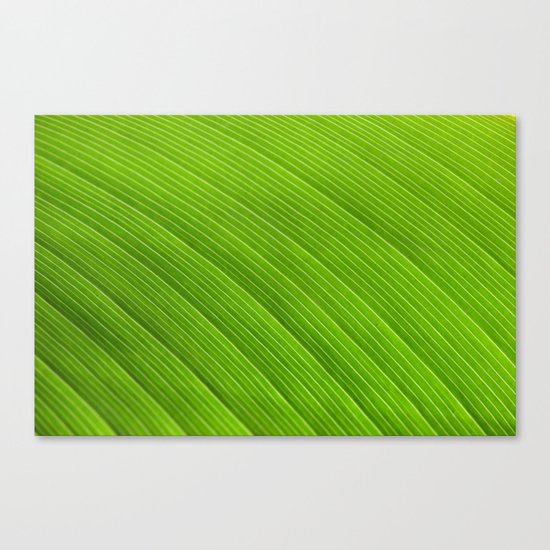 Green 8869 Canvas Print