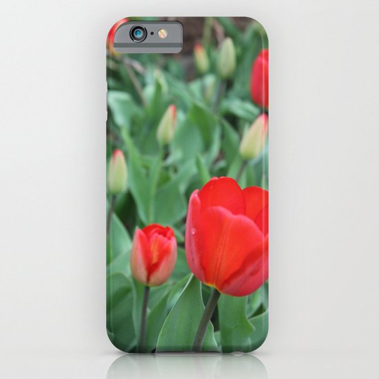 Tulip Darlings iPhone & iPod Case
