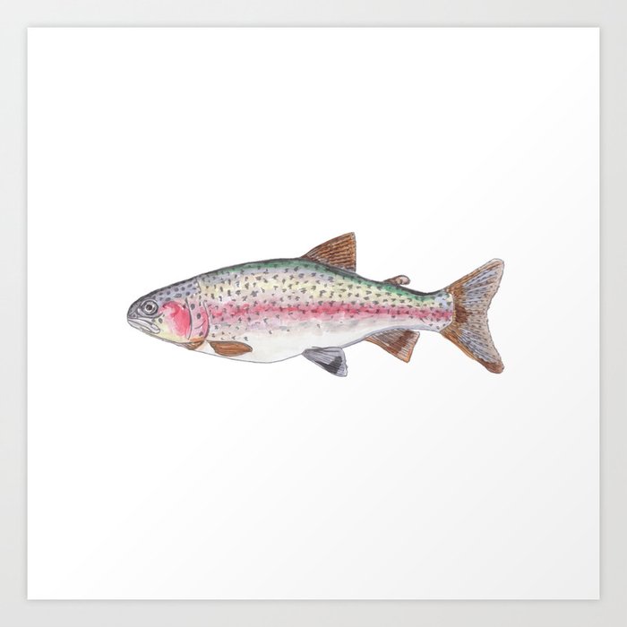 Rory The Rainbow Trout Art Print By Billiemay Society6