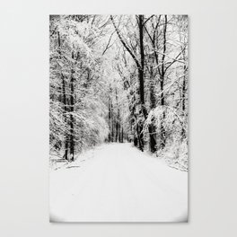 snowy woods Canvas Print