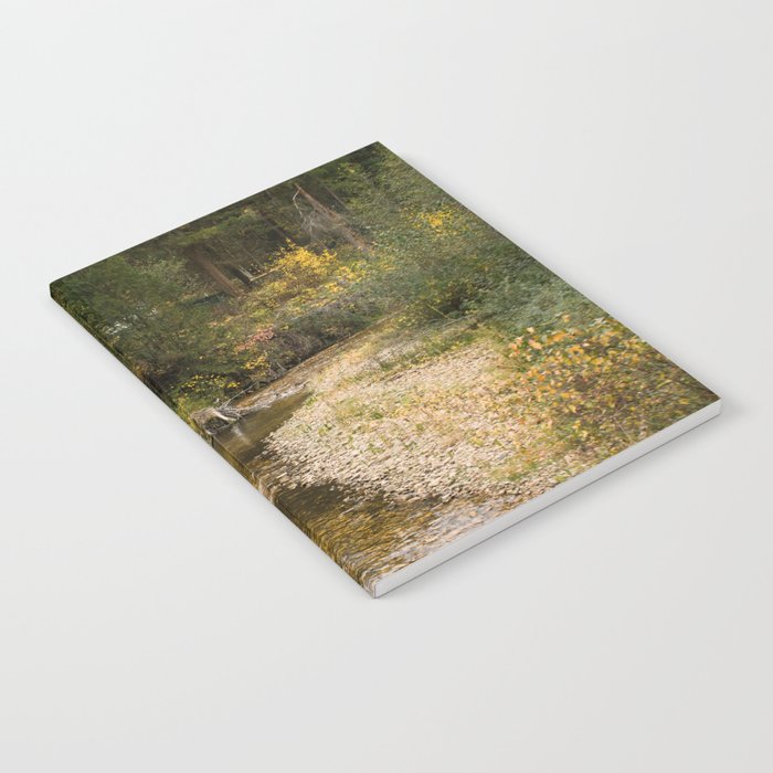 Autumn Creek Notebook