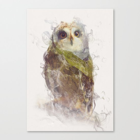 Owl Canvas Print