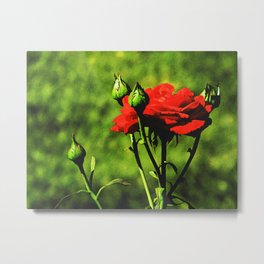 A Kiss from a Rose Metal Print