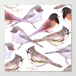 Wild birds in watercolor and pencil Canvas Print