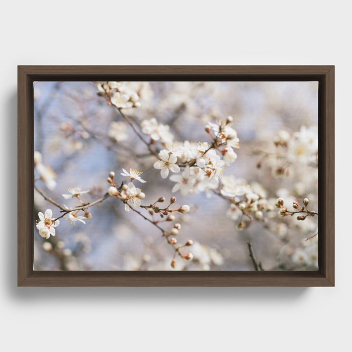 floral composition no. 4 Framed Canvas