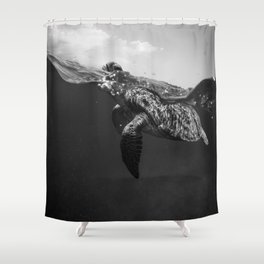 Sea turtle swimming ocean deep for beach and land nature black and white photograph / photography Shower Curtain