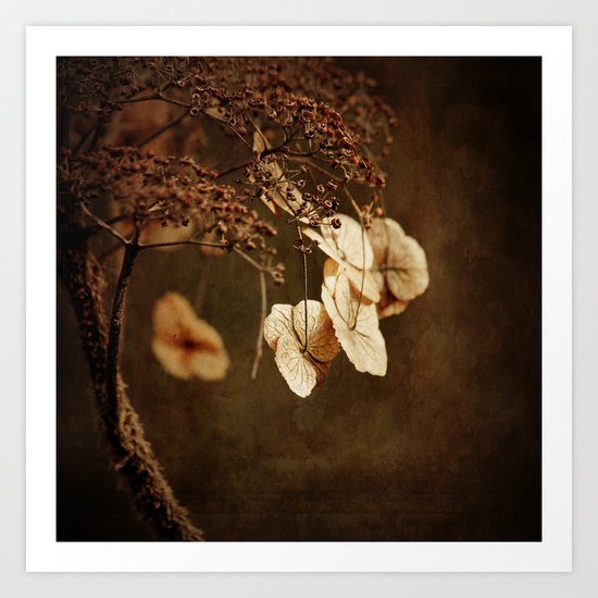 Fading Away Art Print