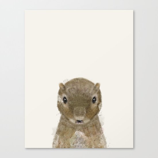 little squirrel Canvas Print