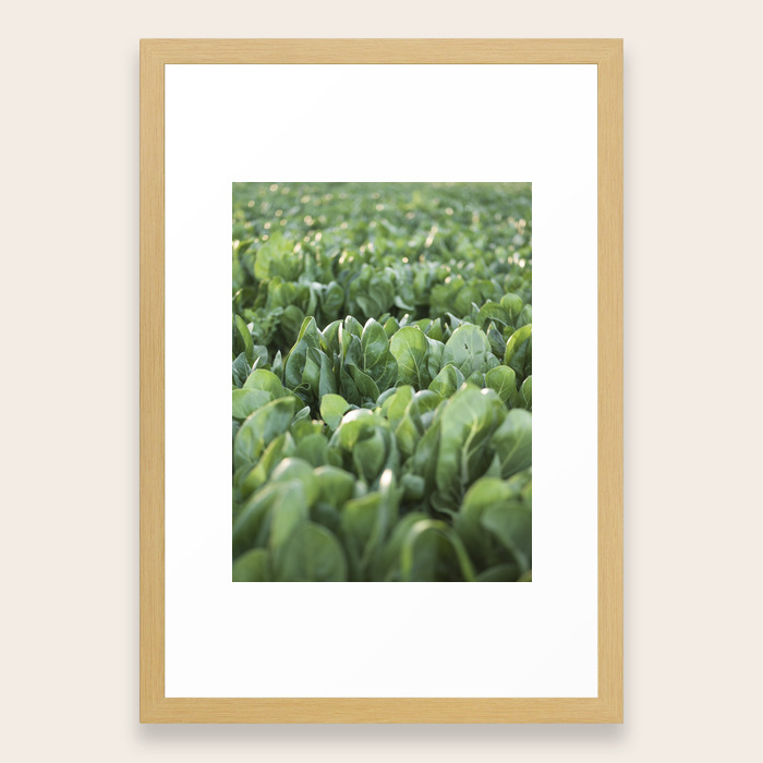 Food Photography Macro Photo Nature Fine Art Italy Sicily Apulia Kitchen Wall Framed Art Print By Stefanoreves Society6