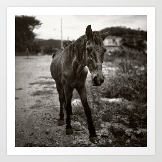 horse Art Print