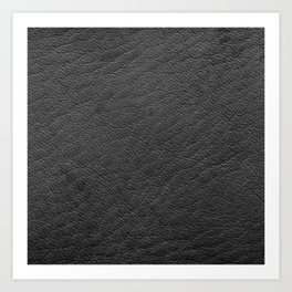 Modern Black Leather Collection Art Print
