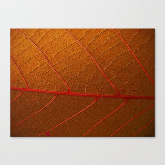 AUTUMN LEAF Canvas Print